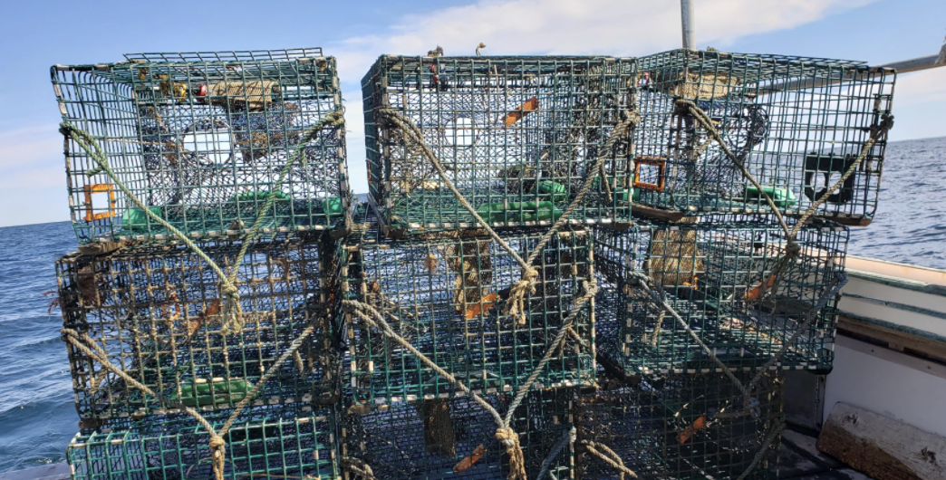 House votes to extend regulatory pause on lobster fishery , delaying right whale protections
